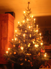 weihnachtsbaummencke.jpg